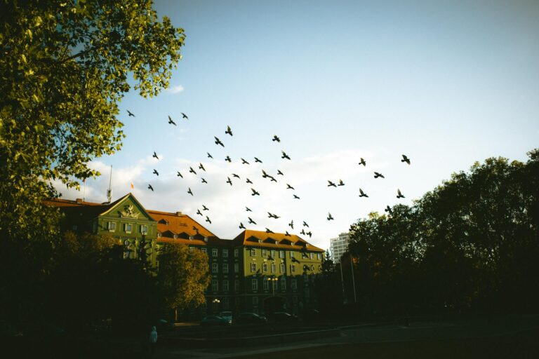 Szczecin atrakcje i zwiedzanie śladami komisarza Deryło: mroczny spacer po mieście