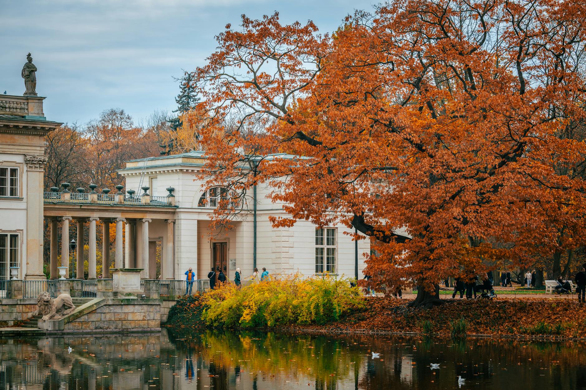 Ustronne Łazienki Królewskie: Gdzie odpocząć w sercu Warszawy