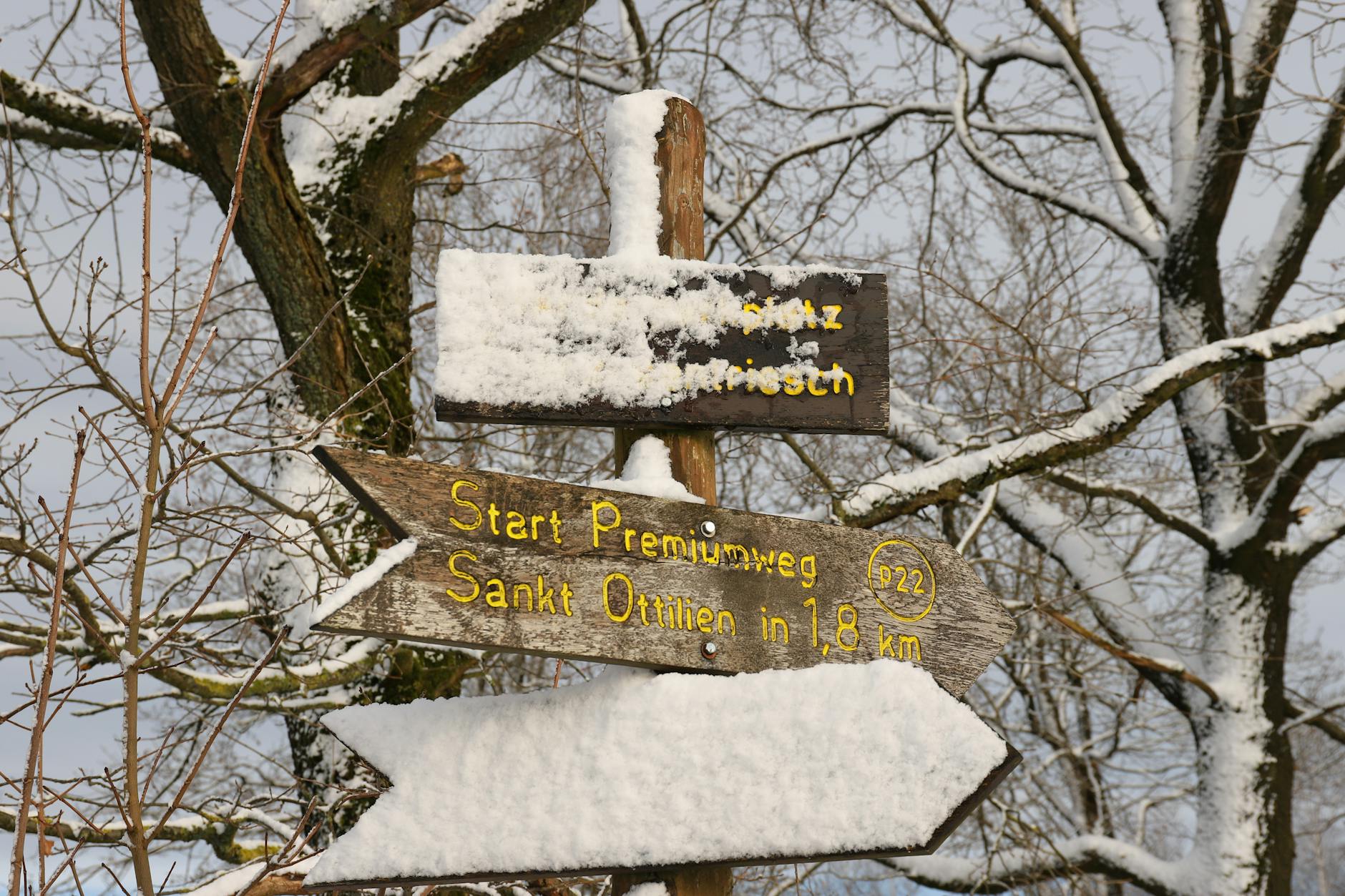 Szlak Cysterski w Polsce: Zakonnicy ci byli prawdziwymi inżynierami swoich czasów.