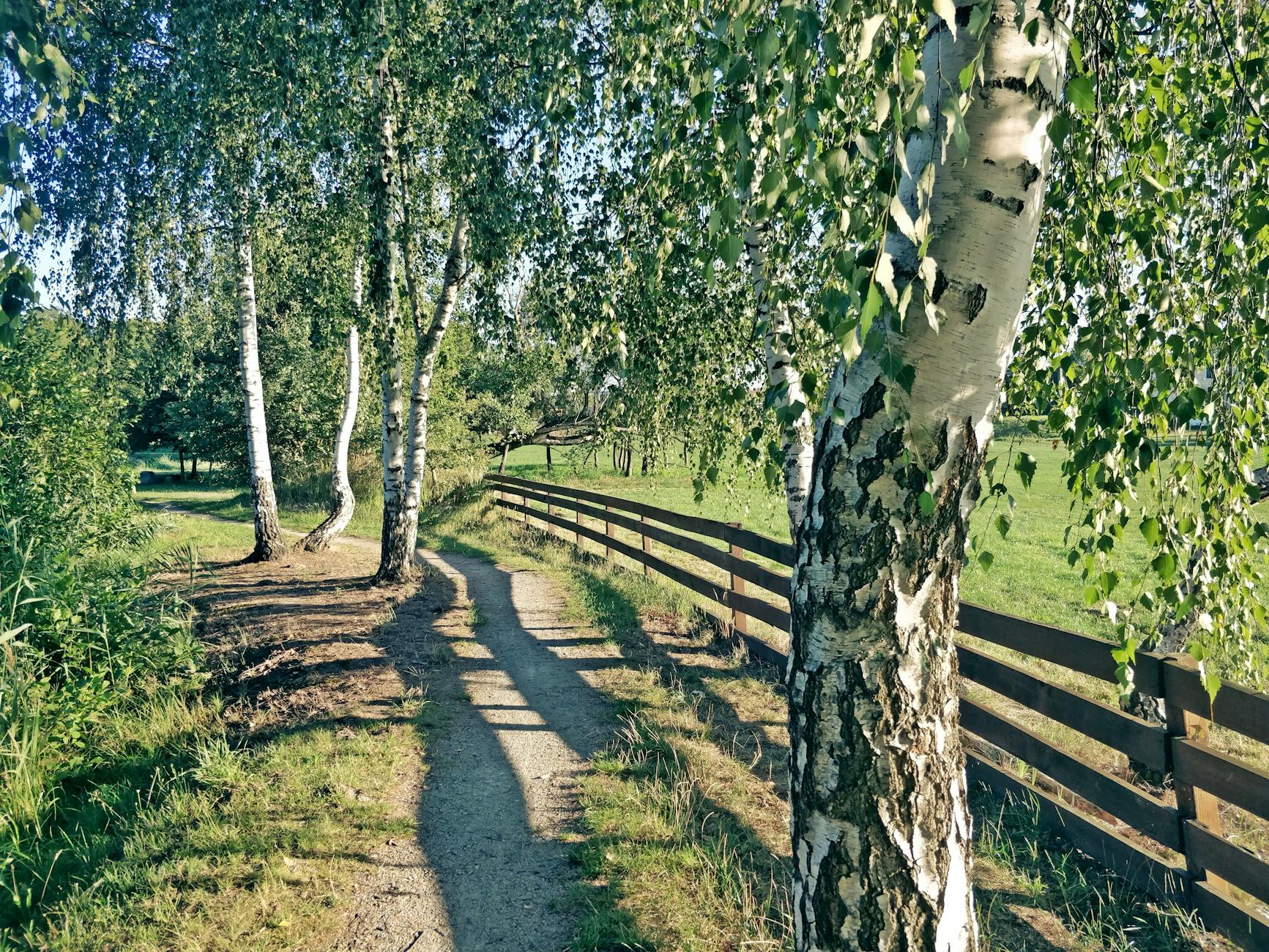 Poleski Park Narodowy czyli polska Amazonia