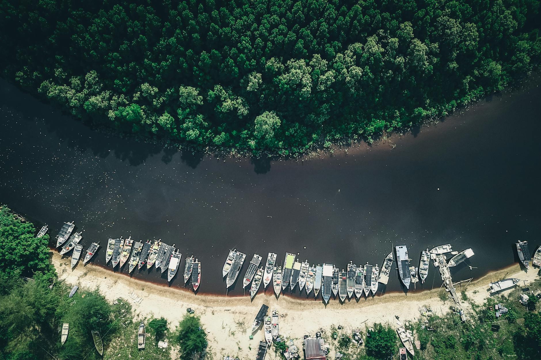 Dzikość polskiej Amazonii (2026)