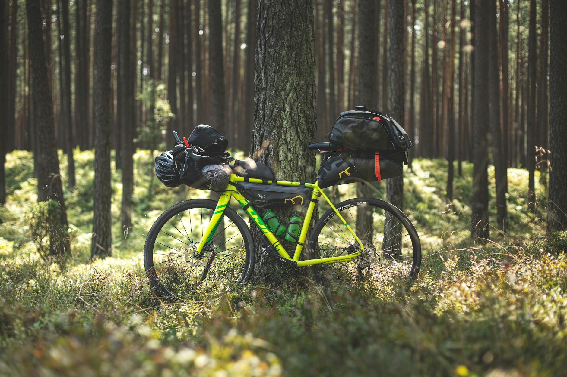 Najlepsze trasy rowerowe nad Bałtykiem: Gdzie połączyć rower z komfortem?