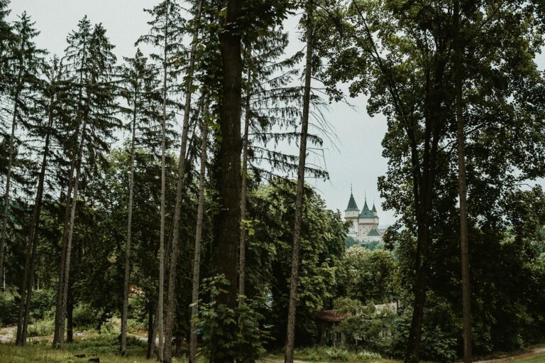 Tykocin i małe perełki  Podlasia