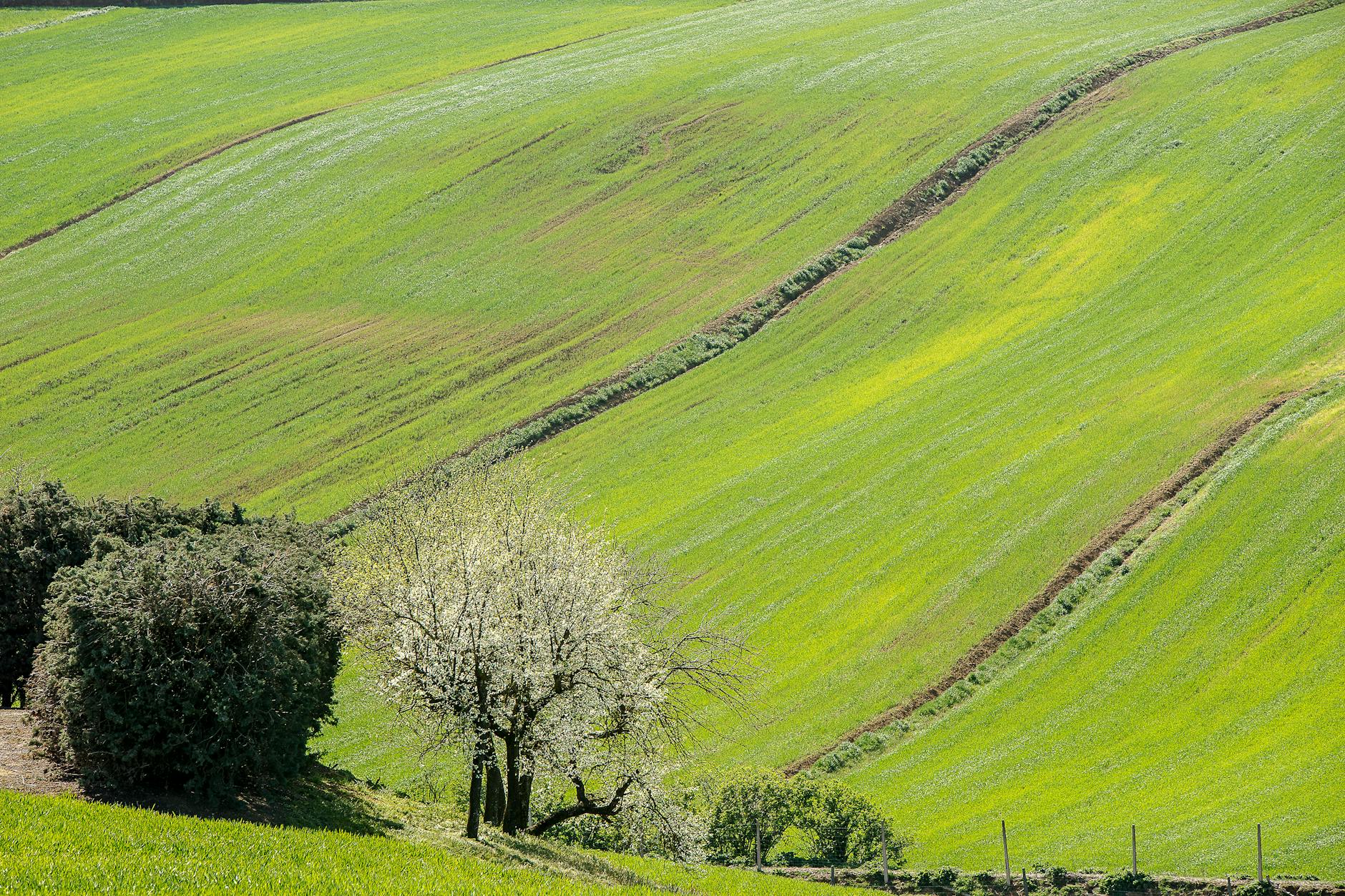 Toskania w kwietniu – co zobaczyć? Przewodnik i trasa
